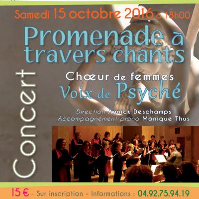 Affiche valsaintes 102016